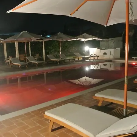 Carlotta Bed & Breakfast